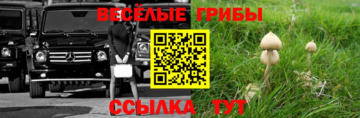 Галлюциногенные грибы Cubensis  Галлюциногенные грибы ЛСД  Тверь  Вход с VPN 